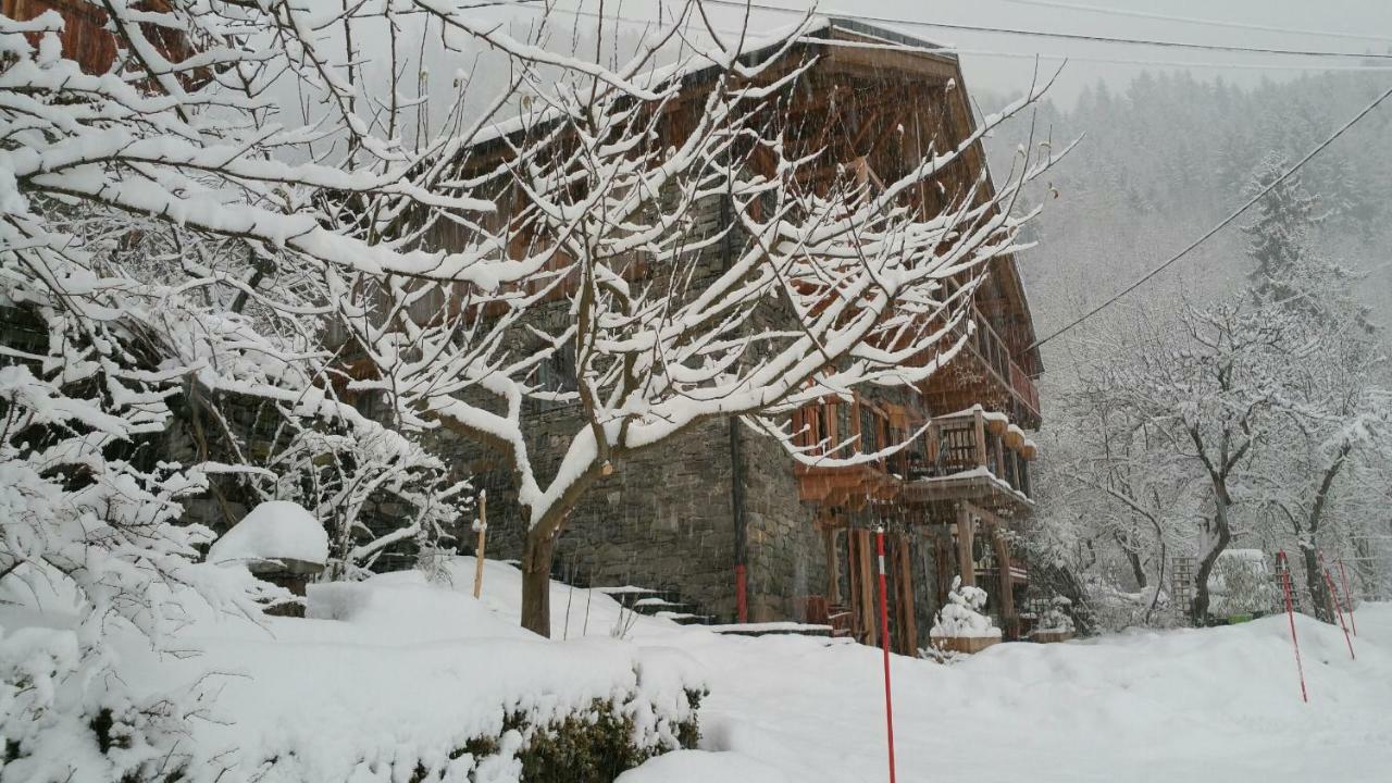 Chalet Zenarcs Bourg-Saint-Maurice Ngoại thất bức ảnh